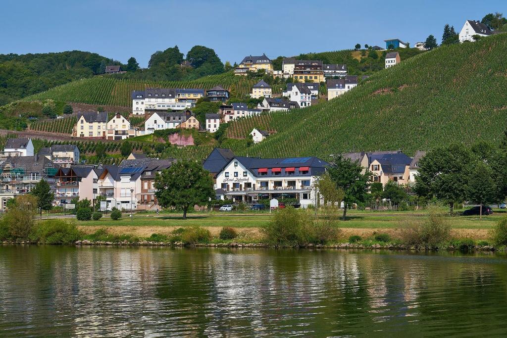 Hotel Zehnthof Ürzig Extérieur photo